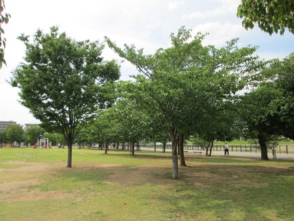 末広公園6