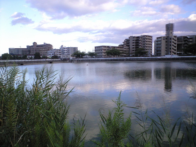 こも池の夕暮れの写真