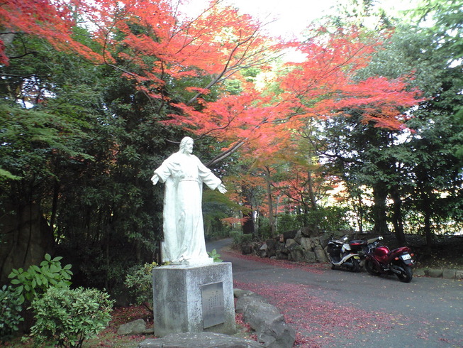 紅葉の黙想の家の写真