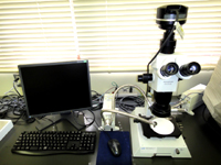 実体顕微鏡・画像検出装置の写真