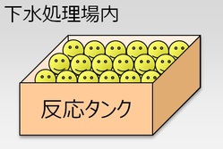 処理場内での微生物