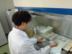 水のけんさをしている写真