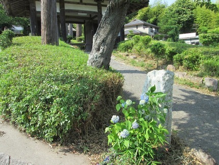 宝山寺8