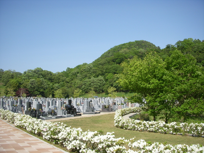 宝塚すみれ墓苑の写真