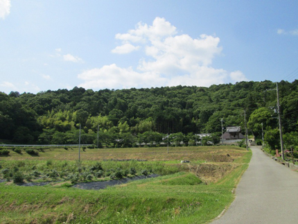 長谷・普光寺3