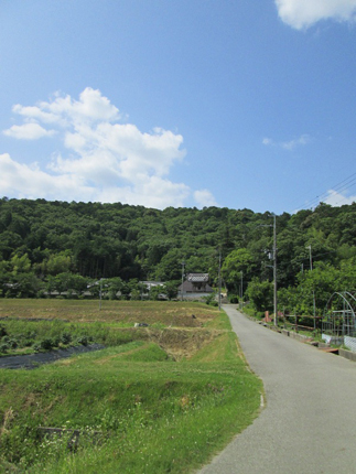 長谷・普光寺4