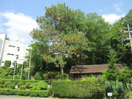 宝塚自然の家2