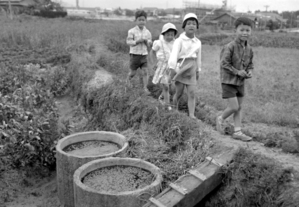 市内の肥溜めと子ども