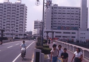 宝塚大橋とサンビオラ