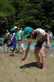 中山五月台小学校での田植え