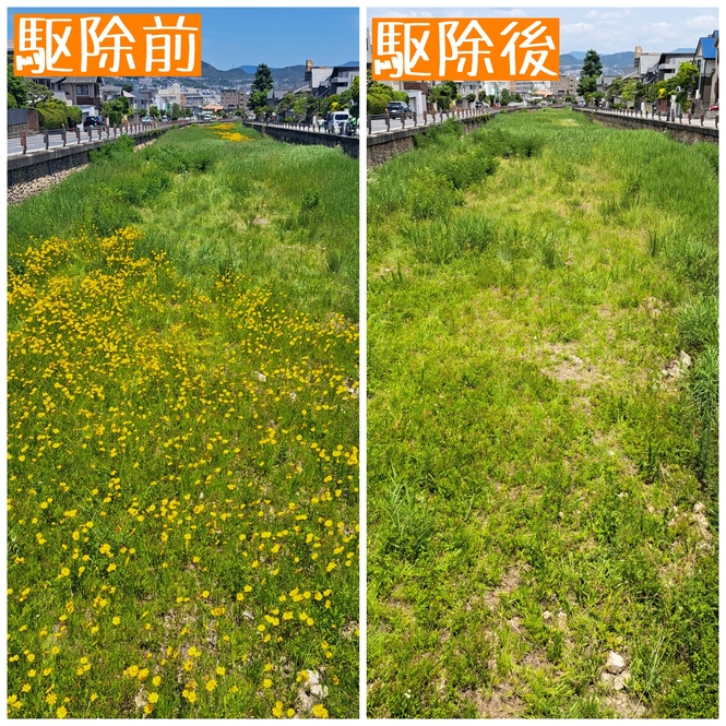 第2回目結果