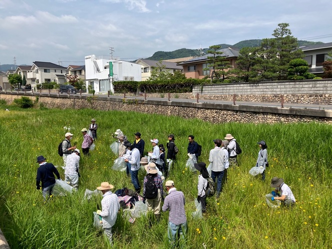 6月7日の駆除の様子