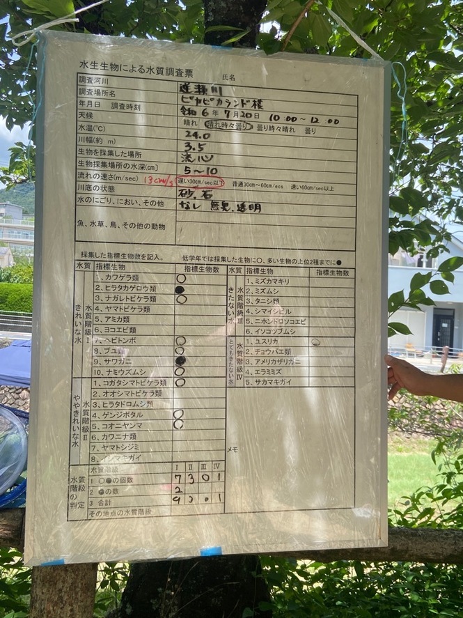 集計結果表
