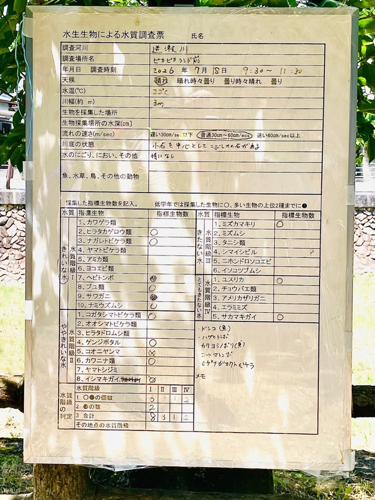 水質判定