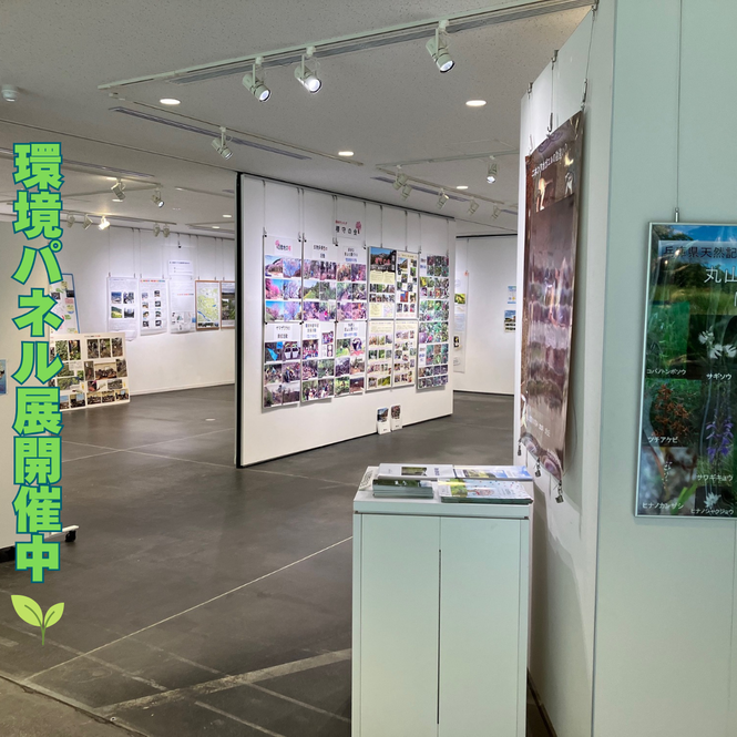 パネル展の様子