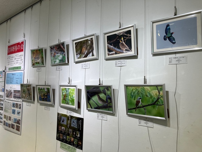 展示の様子