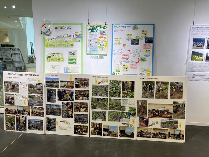 展示の様子