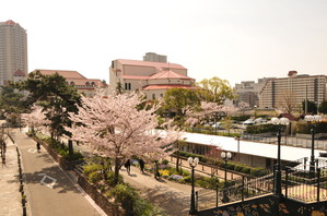 No.4 花のみち2015
