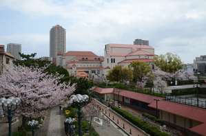 No.5 花のみち3