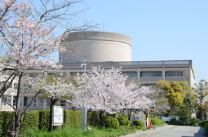 No.8 市役所