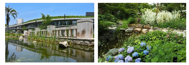 庭園の水辺とメインガーデンの写真