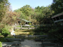 松尾湿原の写真
