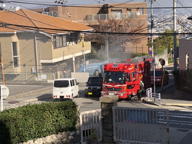 写真（遠距離）