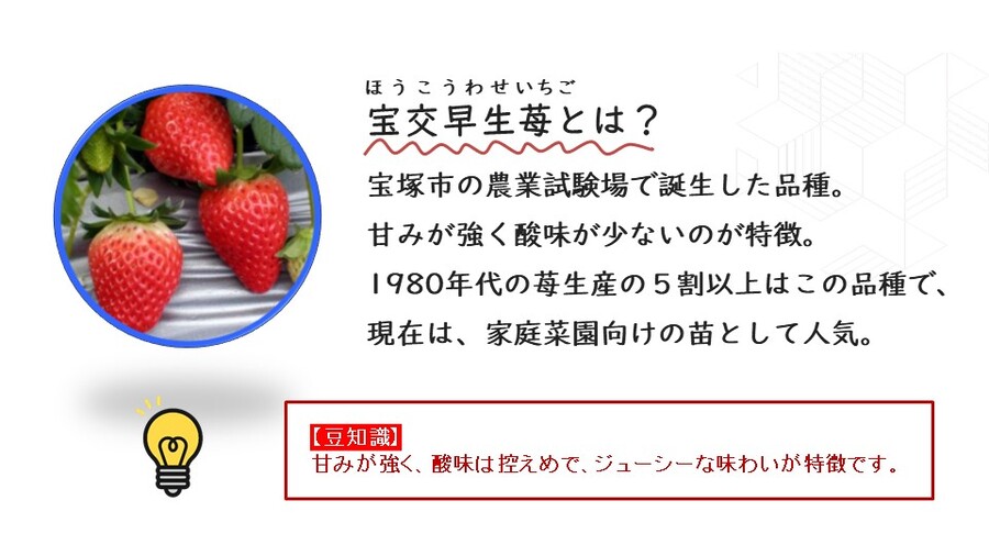 宝交早生苺プロジェクト1