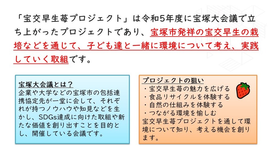 宝交早生苺プロジェクト2