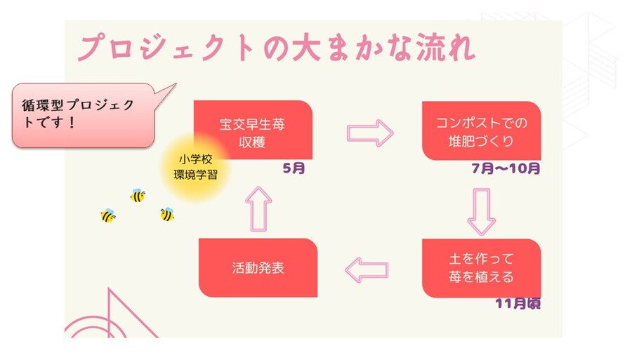 宝交早生苺プロジェクト3