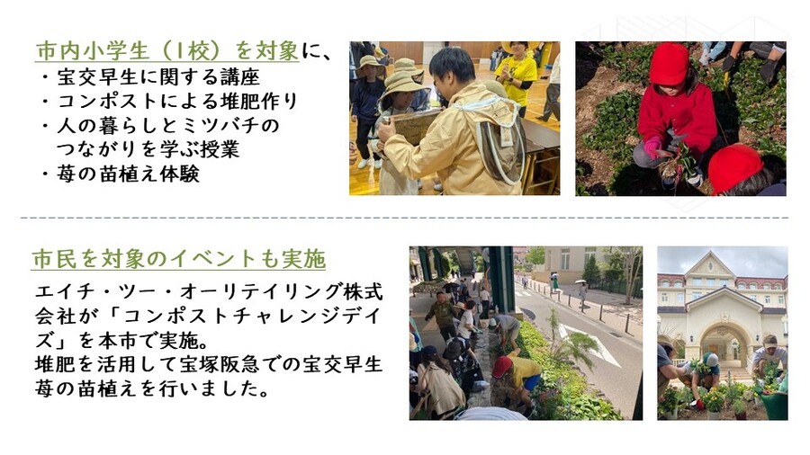 宝交早生苺プロジェクト4