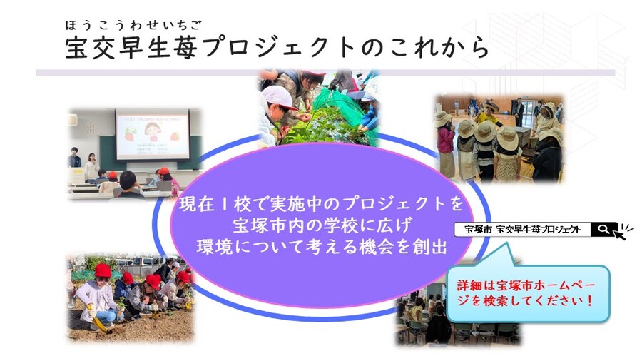 宝交早生苺プロジェクト5