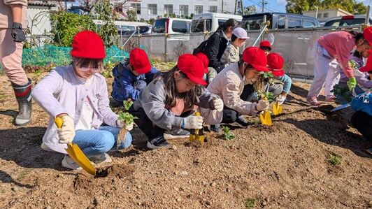 子どもたちが甲子園大学で苺を植える様子