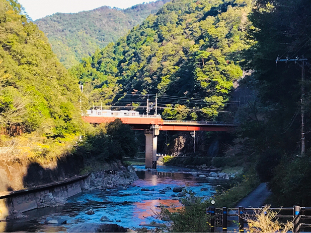 武田尾の自然