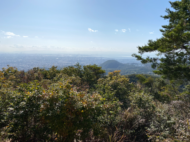 反射板周辺からの景色