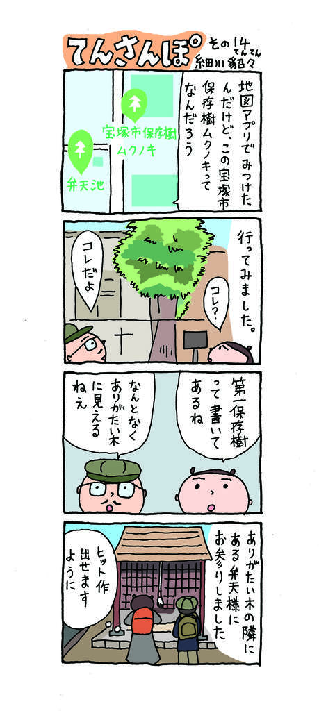 てんさんぽ14回目画像 保存樹ムクノキについて