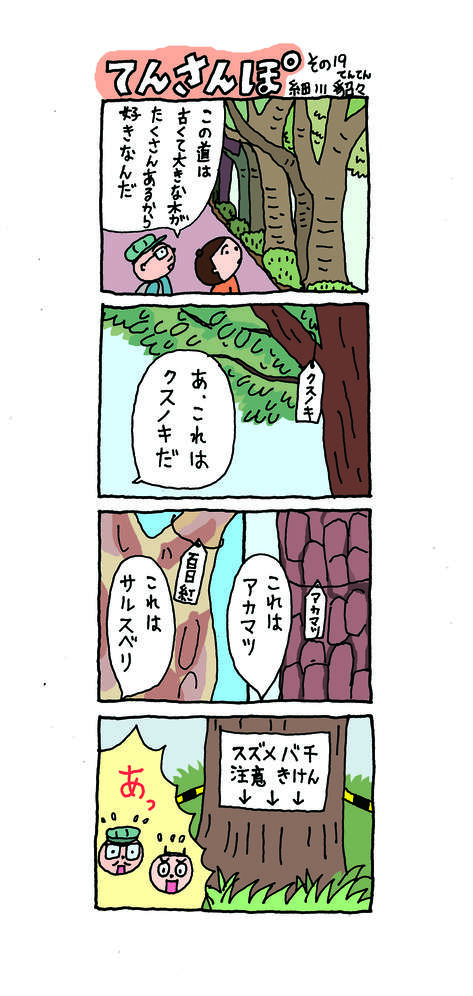 てんさんぽ19回目画像 花の道について