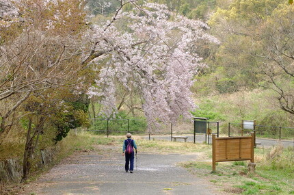 北雲雀きずきの森3