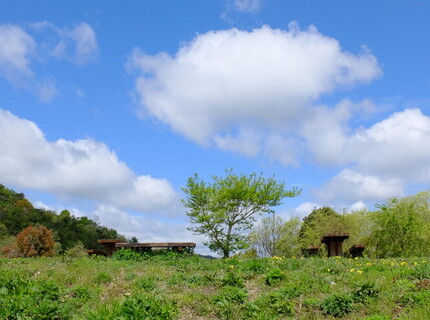 北雲雀きずきの森4