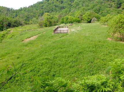 北雲雀きずきの森7