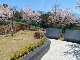 共同埋蔵