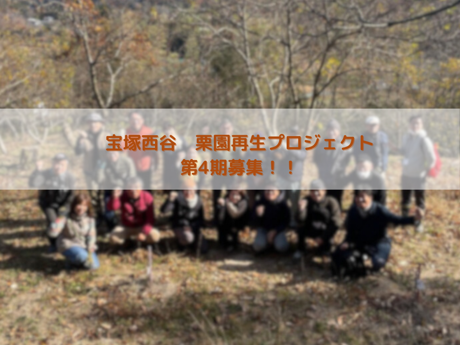 トップ画像