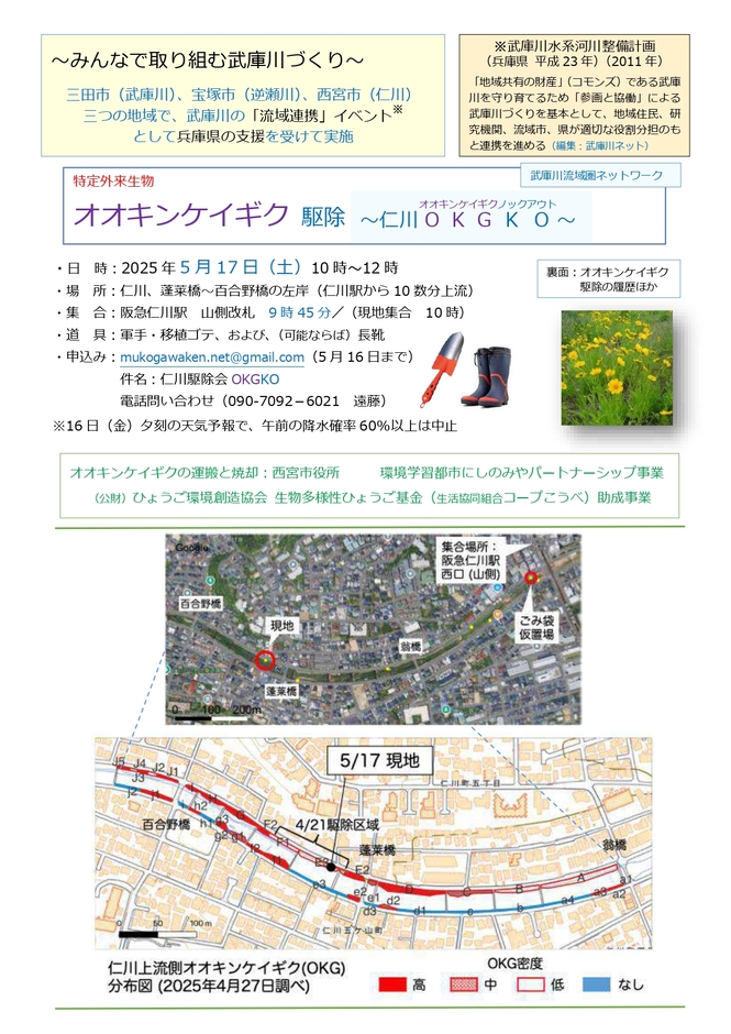チラシ