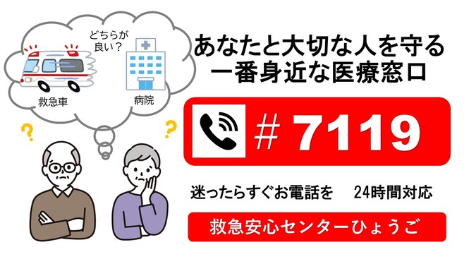 7119sasie