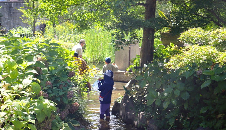 自然観察会の写真