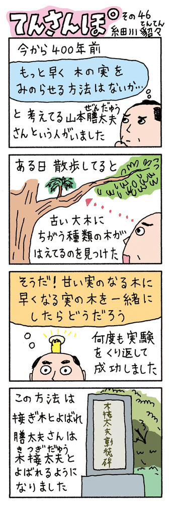 てんさんぽ46回目画像 木接太夫(きつぎだゆう)について