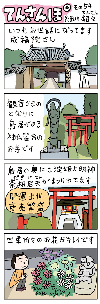 てんさんぽ54回目画像 成福院(じょうふくいん)について