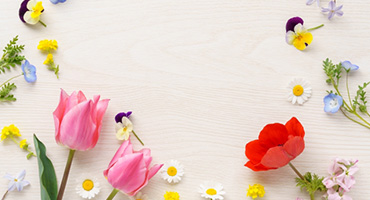 おくやみの写真