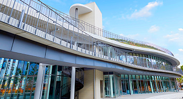 文化、国際交流の写真