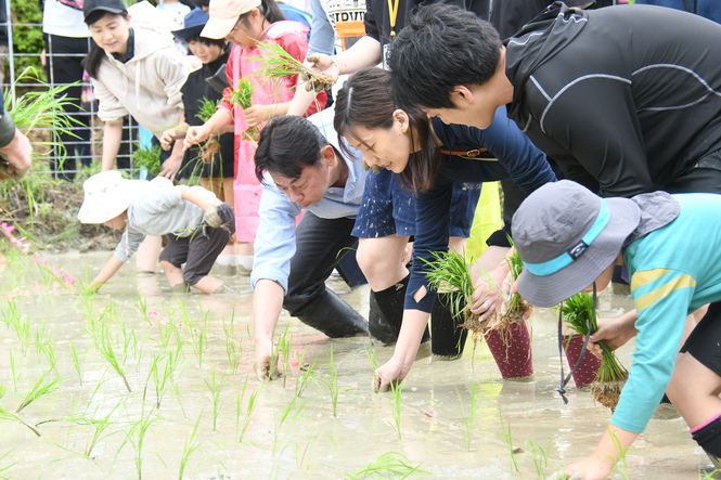 令和7年5月25日　100人のお米づくりプロジェクト